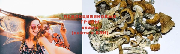 гидра Абинск