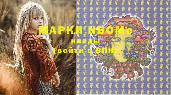 бошки Алексин