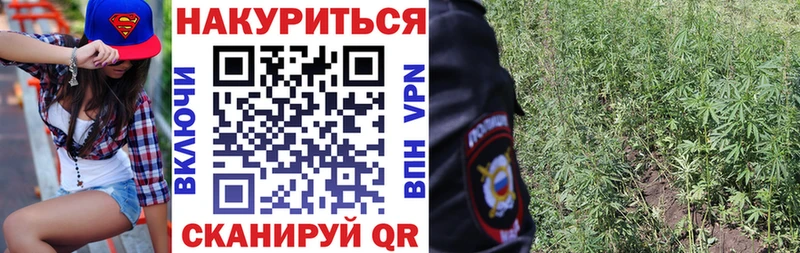 блэк спрут ONION  где можно купить наркотик  Кочубеевское  Конопля план 